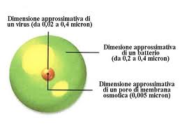 membrana_osmotica